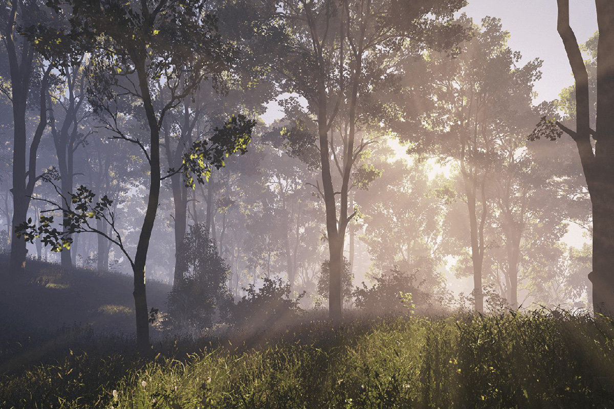 Создатели серии Arma выпустят следующую игру на новом движке Enfusion - изображение обложка