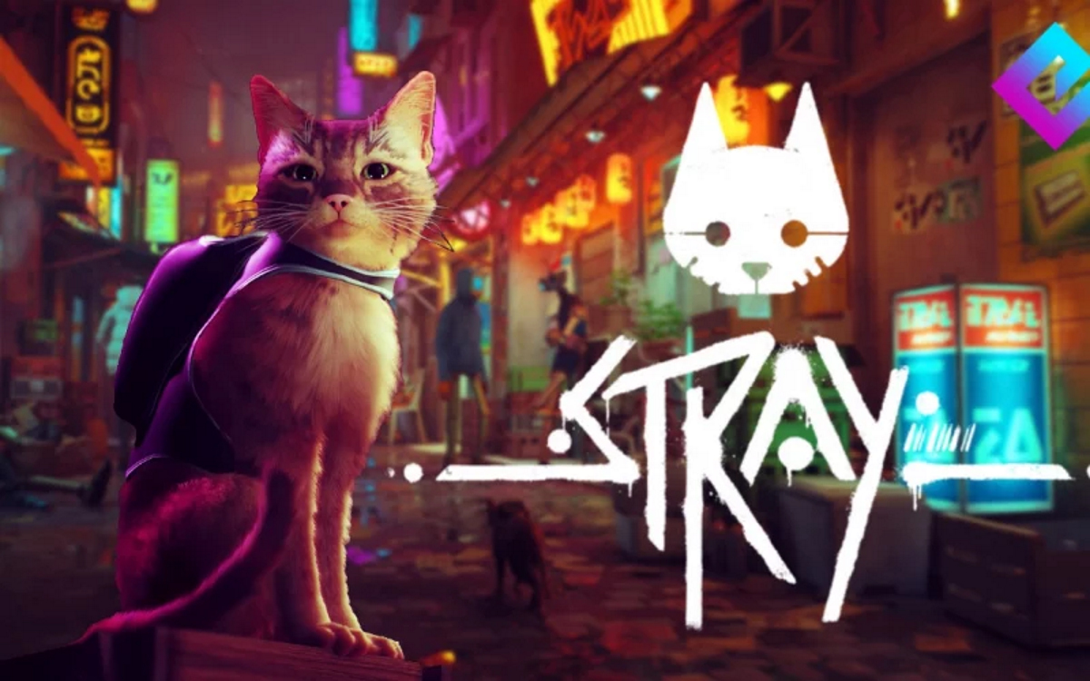 Журналисты остались в восторге от Stray о приключениях бродячего кота в  кибергороде | Канобу