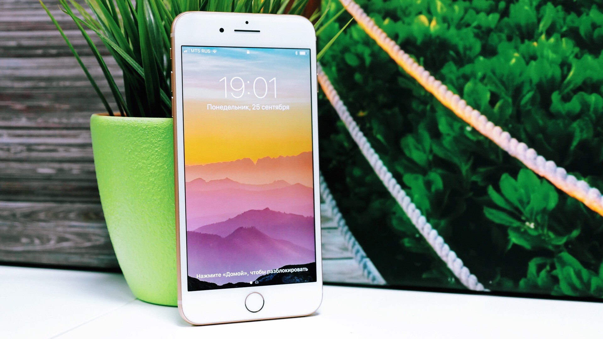 Названа десятка самых подделываемых смартфонов - изображение обложка