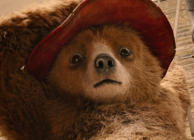 Фильм о милом мишке Паддингтоне перенесли на две недели. А все из-за «Скифа» и «Движения вверх» - изображение обложка