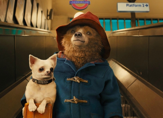 «Приключения Паддингтона 2» стал самым высоко оцененным фильмом  за всю историю Rotten Tomatoes - изображение обложка