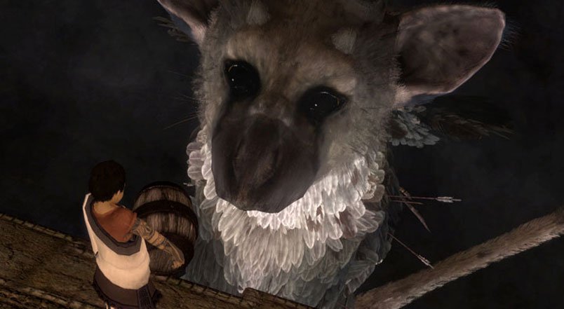 Что внутри у большого коллекционного издания The Last Guardian? - изображение обложка