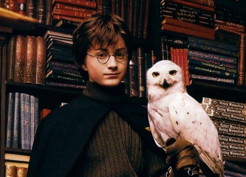 В Dying Light: The Following найдена «пасхалка» про Гарри Поттера - изображение обложка