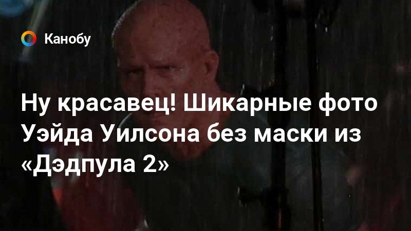 Девять башкиров без шпон семь ваттов