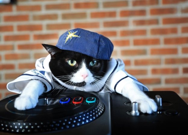 Записки сумасшедшего: как пройти Dark Souls 3 на диджейском пульте - изображение обложка