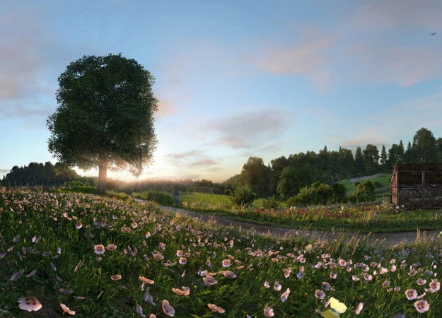 Гифка дня: у цветов есть глаза в Kingdom Come: Deliverance - изображение обложка