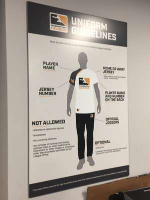 Участникам Лиги Overwatch во время соревнований запрещено надевать часы, носить трикотаж и очки - изображение обложка