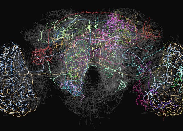 Нейросеть Microsoft поможет красиво говорить и писать - изображение обложка