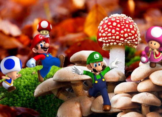 Необычный киберспорт. Трансляция турнира по Super Mario Maker 2 привлекла десятки тысяч зрителей! - изображение обложка