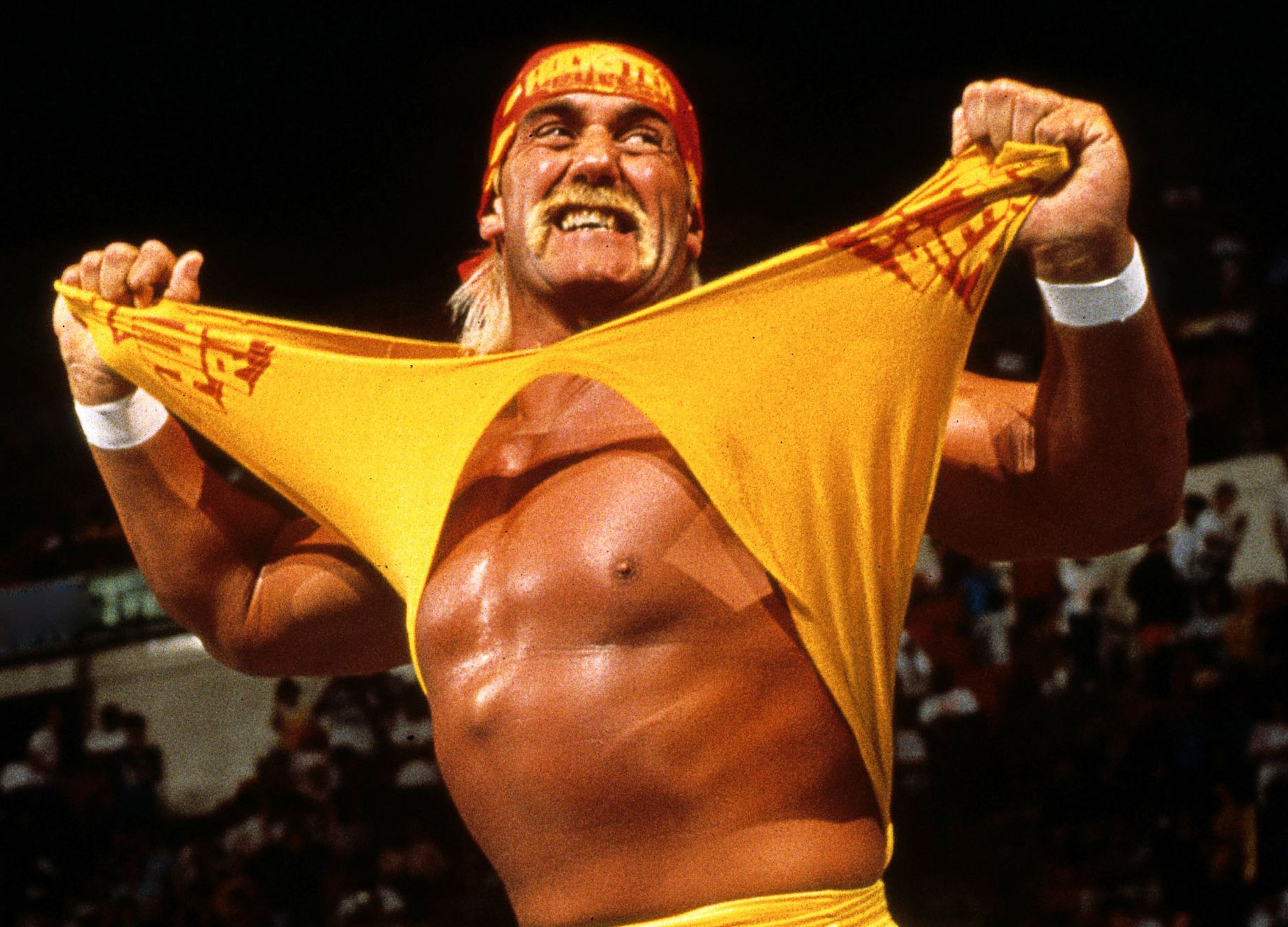 Халк Хоган обанкротил Gawker - изображение обложка