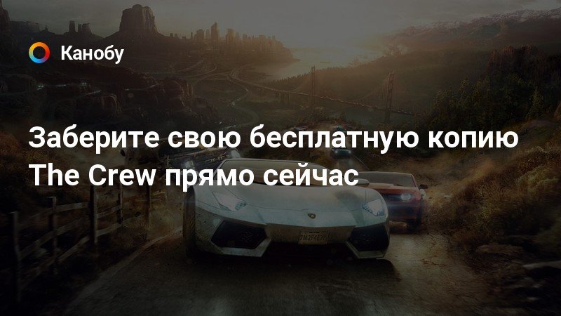 The crew нужен ли интернет