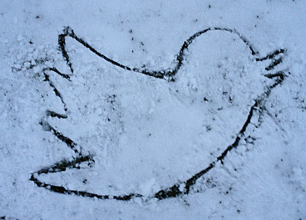 Twitter назвал самые обсуждаемые темы 2016 года - изображение обложка