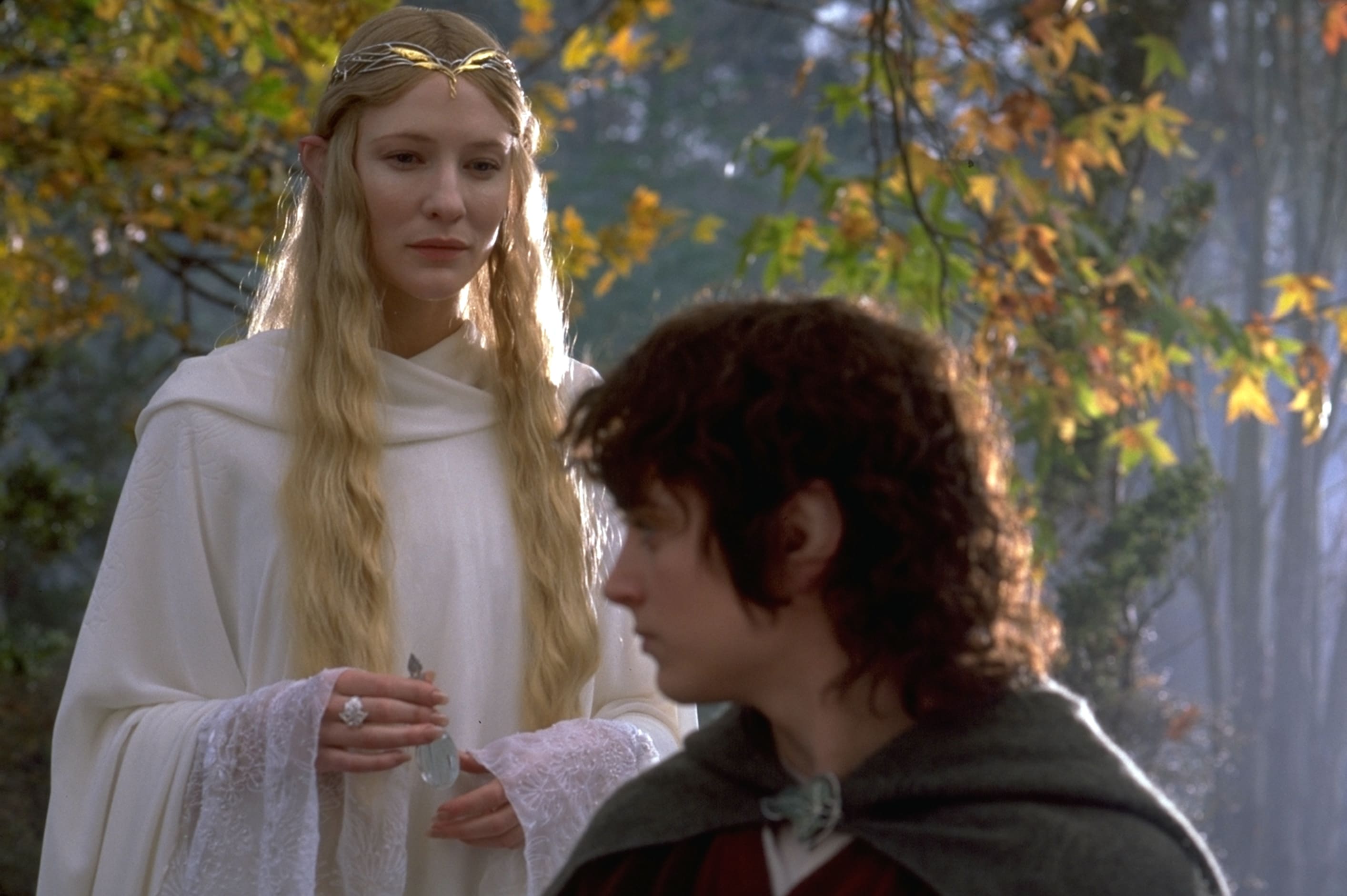 Если бы с Сауроном воевали собаки: в Twitter нашли животных, похожих на героев «Властелина колец» - изображение обложка