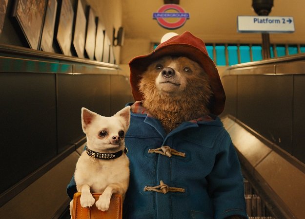 Медведи не могут мыть окна: первый тизер «Паддингтона 2» - изображение обложка