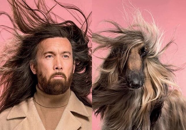 Фотограф делает снимки людей и собак, которые выглядят как двойники - изображение обложка