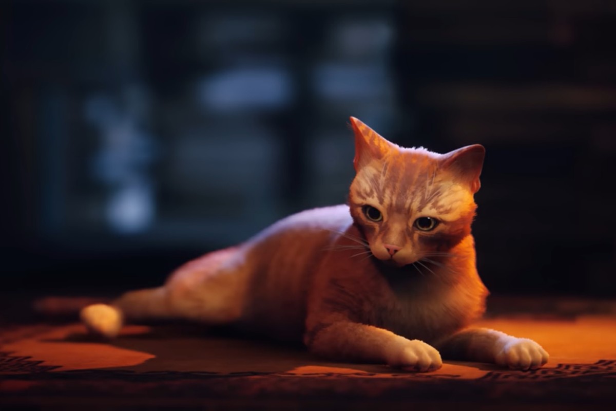 Обложка: скриншот Stray