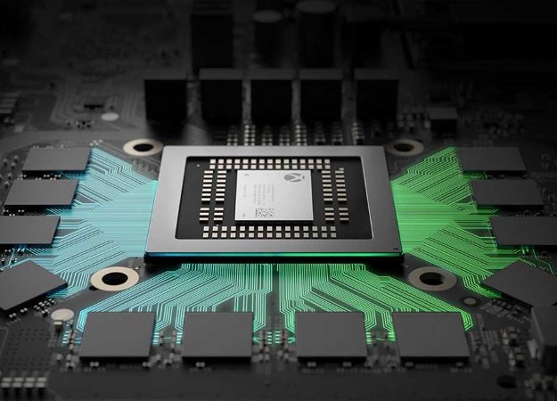 Microsoft сошла с ума и разослала журналистам настоящих скорпионов - изображение обложка