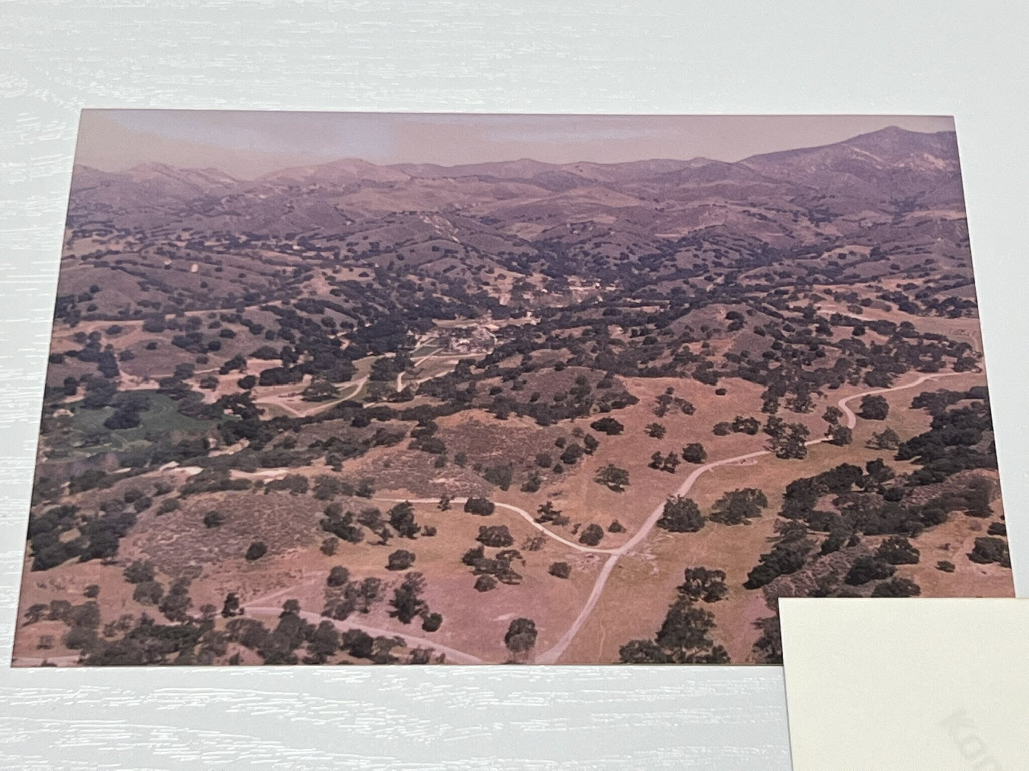 Обложка: Twitter/Yuji Naka