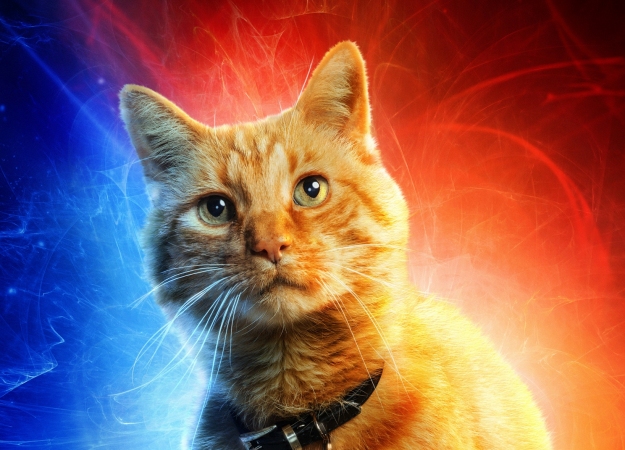 На новых постерах фильма «Капитан Марвел» представили основных персонажей во всей красе - изображение обложка