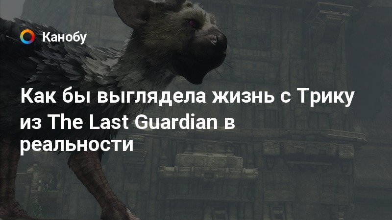 трику the last guardian