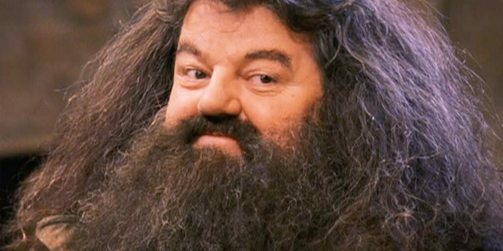 «Ты вор в законе, Гарри»: что если Гарри Поттера сняли бы другие киностудии - изображение обложка