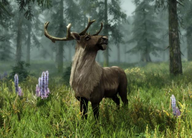 Гифка дня: попадание прямо в яблочко в The Elder Scrolls 5: Skyrim - изображение обложка