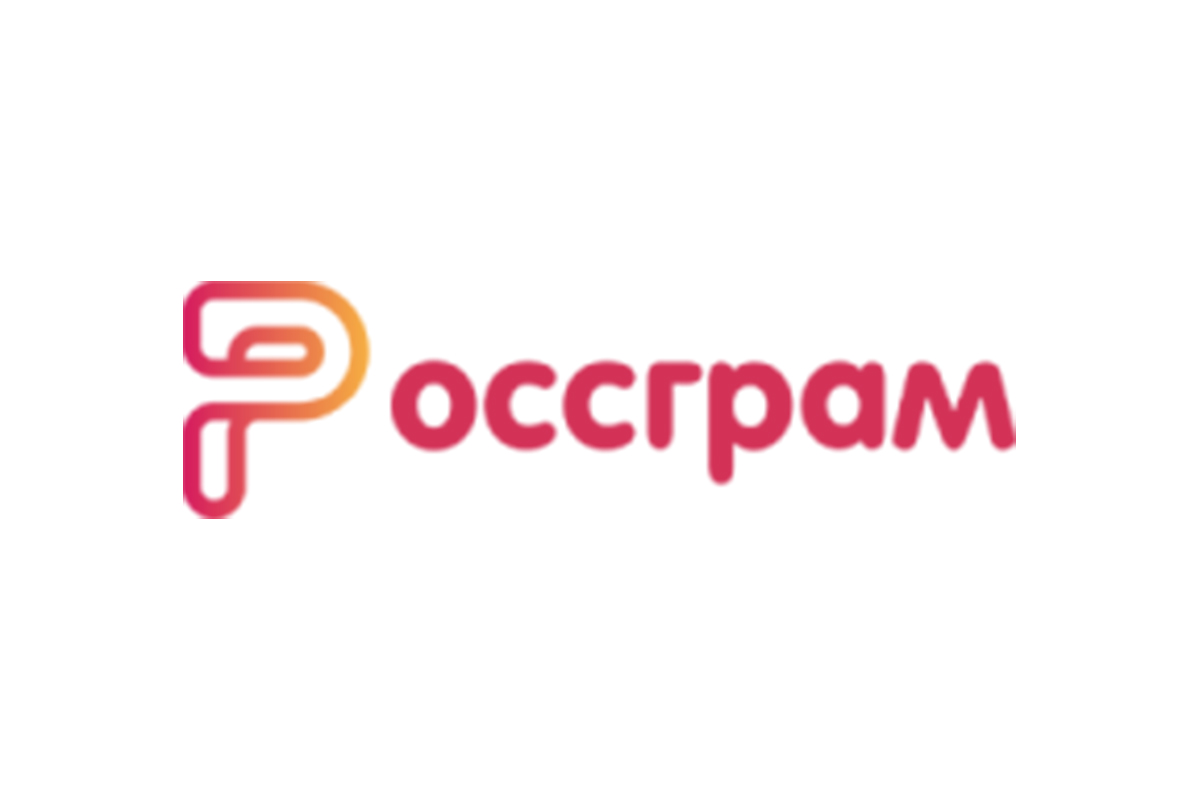 Создатели «Россграма» не запустили социальную сеть в заявленный срок - изображение обложка