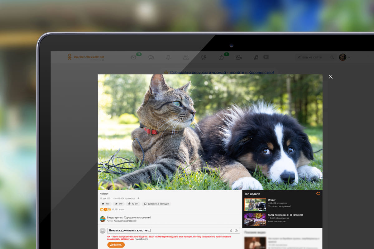 Обложка: ОК