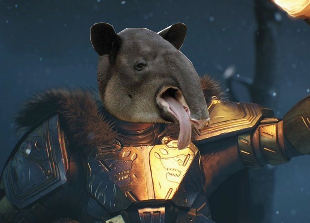 Как Интернет отреагировал на неудачный старт Destiny: Rise of Iron - изображение обложка