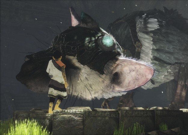 Sony навсегда снизила цену на The Last Guardian - изображение обложка