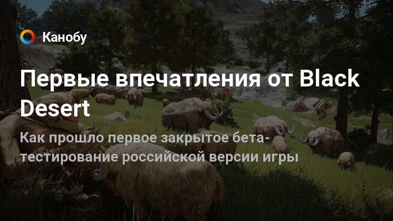 Черная бусина с узором black desert что с ней делать