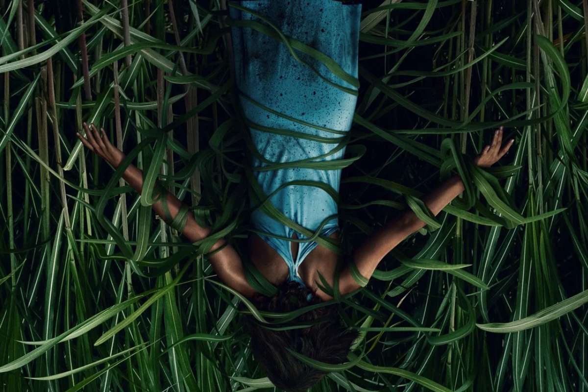 Netflix выпустил трейлер хоррора «В высокой траве», основанного на повести Стивена Кинга и Джо Хилла - изображение обложка