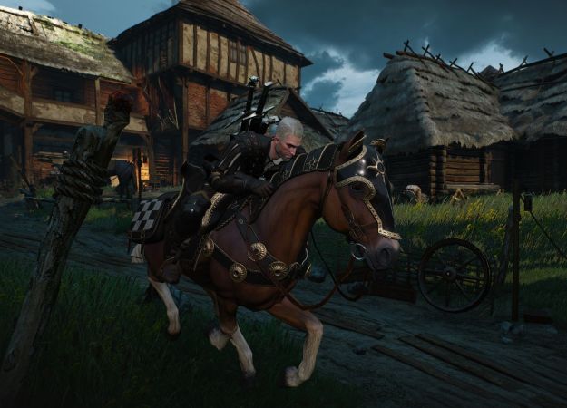 Гифка дня: дикий трюк от Плотвы в The Witcher 3: Wild Hunt - изображение обложка
