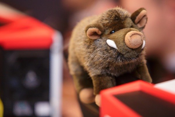 Магия и оберег: талисманы, в которые верят киберспортсмены - изображение обложка