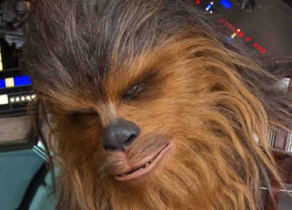 Кто пустил на съемки ходячий ковер? Новое фото Чуи из «Хана Соло» - изображение обложка