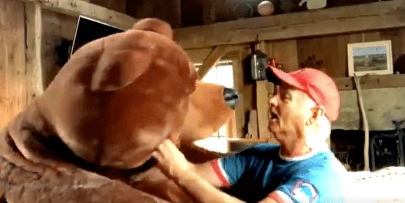 Билл Мюррей спел бейсбольный гимн вместе с огромным плюшевым медведем - изображение 1