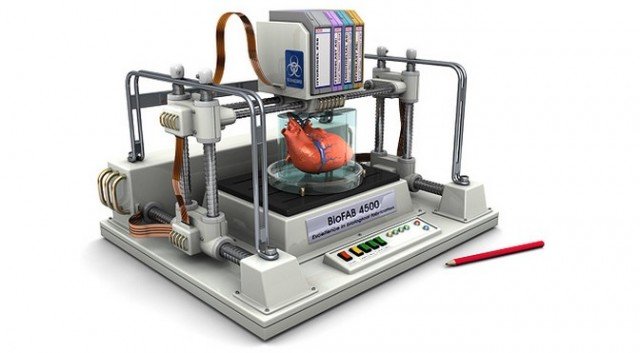 Сделано на 3D-принтере: как отреагирует общество на «печатных» людей? - изображение обложка