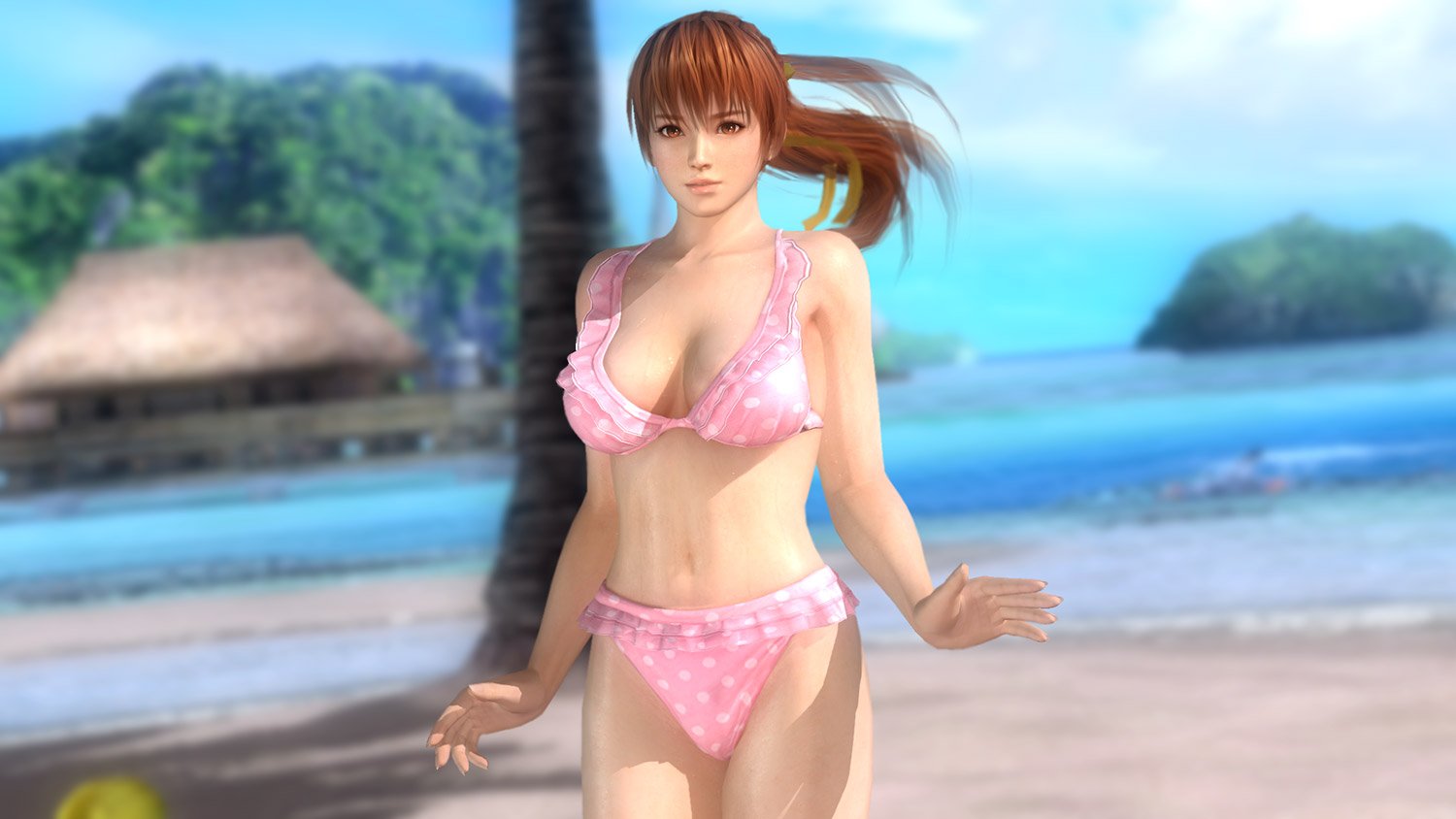 Dead or Alive 5 Last Round дебютирует на PC без сетевой игры - изображение обложка
