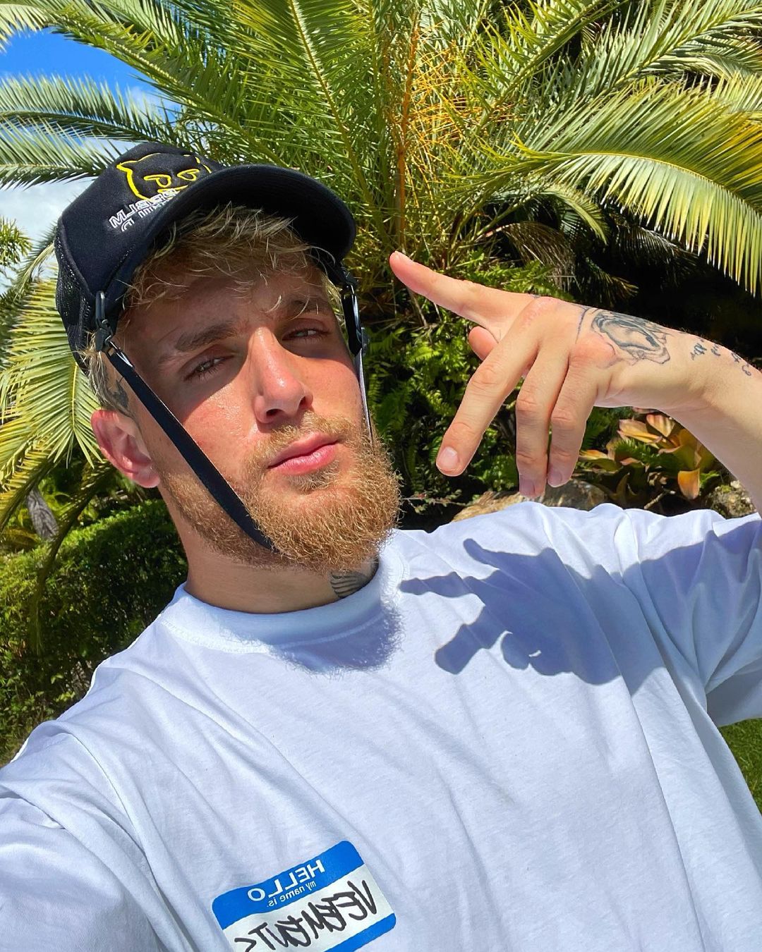 Блогер Джейк Пол привлёк внимание властей Пуэрто-Рико, проехав по охраняемому пляжу - изображение обложка