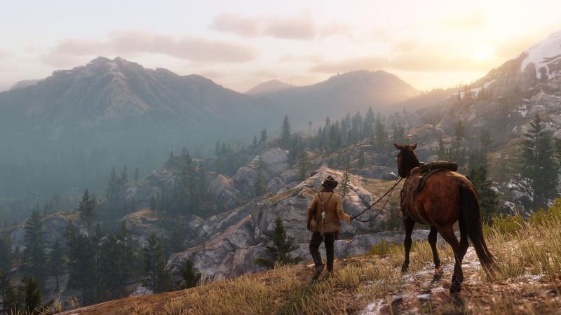 Телеканал дважды принял скриншот Red Dead Redemption 2 за реальную фотографию - изображение обложка