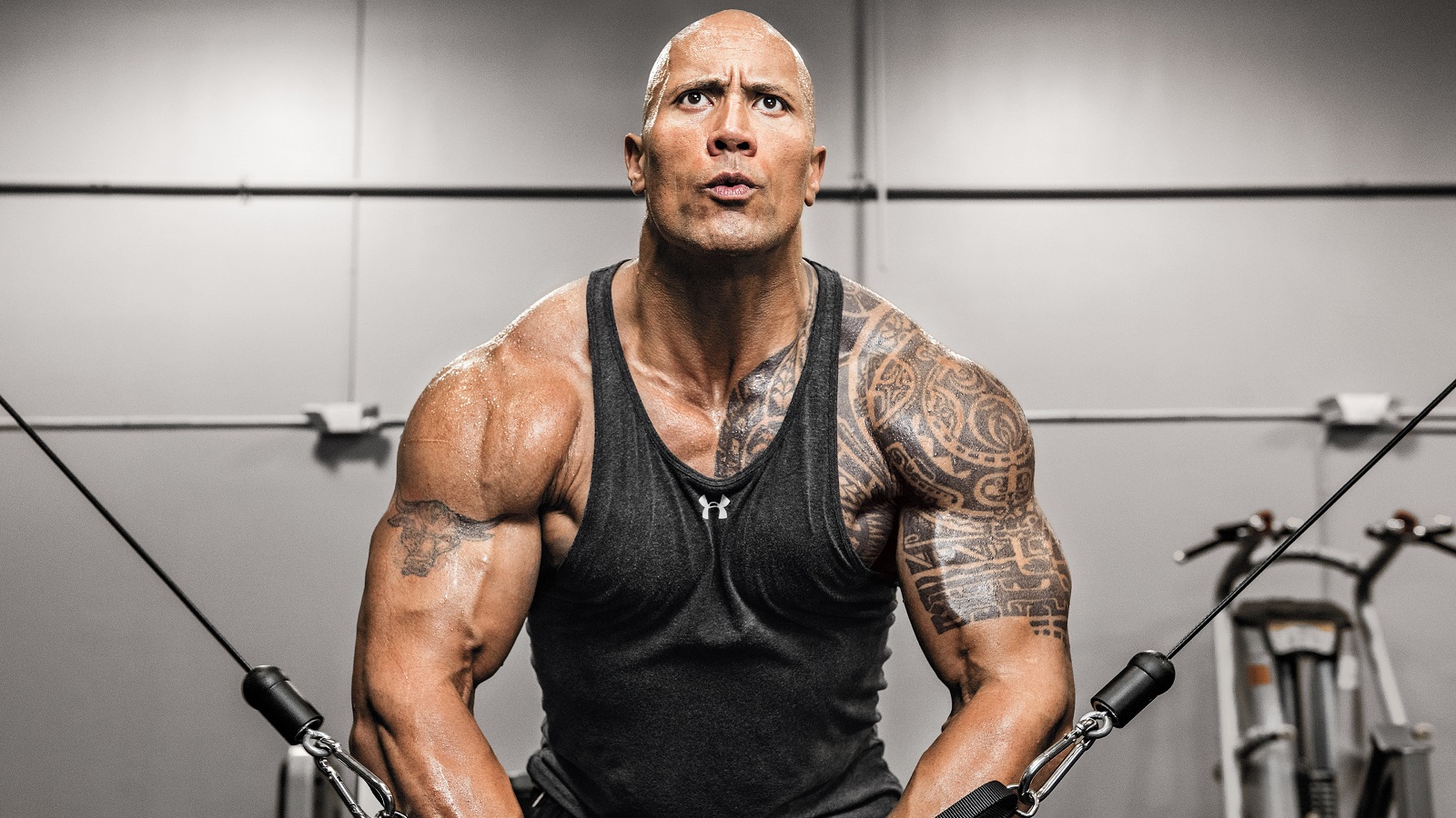 Дуэйн Джонсон стал продюсером сериала о реслинге для HBO - изображение обложка