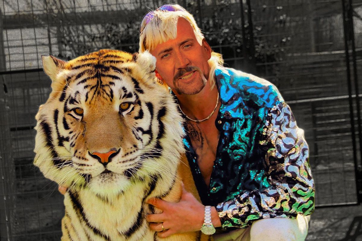Николас Кейдж сыграет главную роль в сериале по хитовому «Королю тигров» - изображение обложка