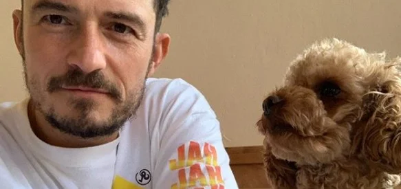У Орландо Блума умер пес. Актер сделал тату в память о любимце и покорил сеть - изображение обложка
