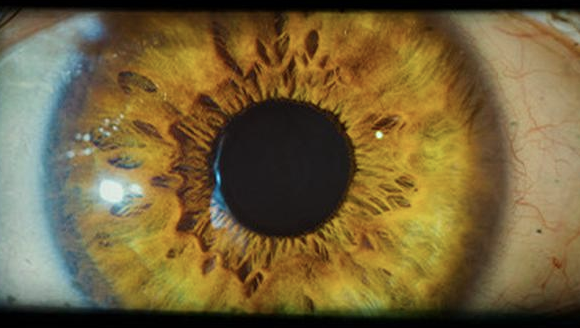 Сэм Барлоу анонсировал игру Project A███████ - изображение обложка