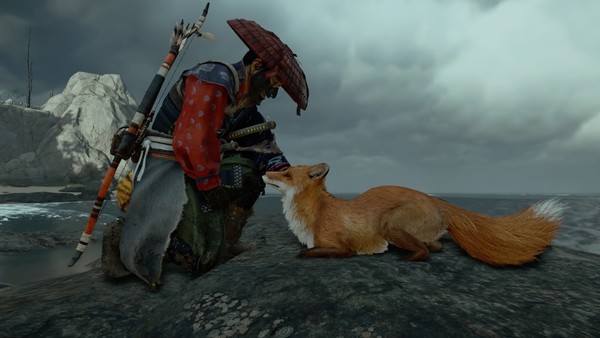 Что будет, если перестать гладить животных? Это челлендж TikTok - изображение обложка