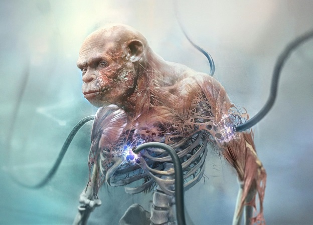 Новые подробности Beyond Good and Evil 2: раса обезьян-рабов, детали сюжета и носорог-растаман