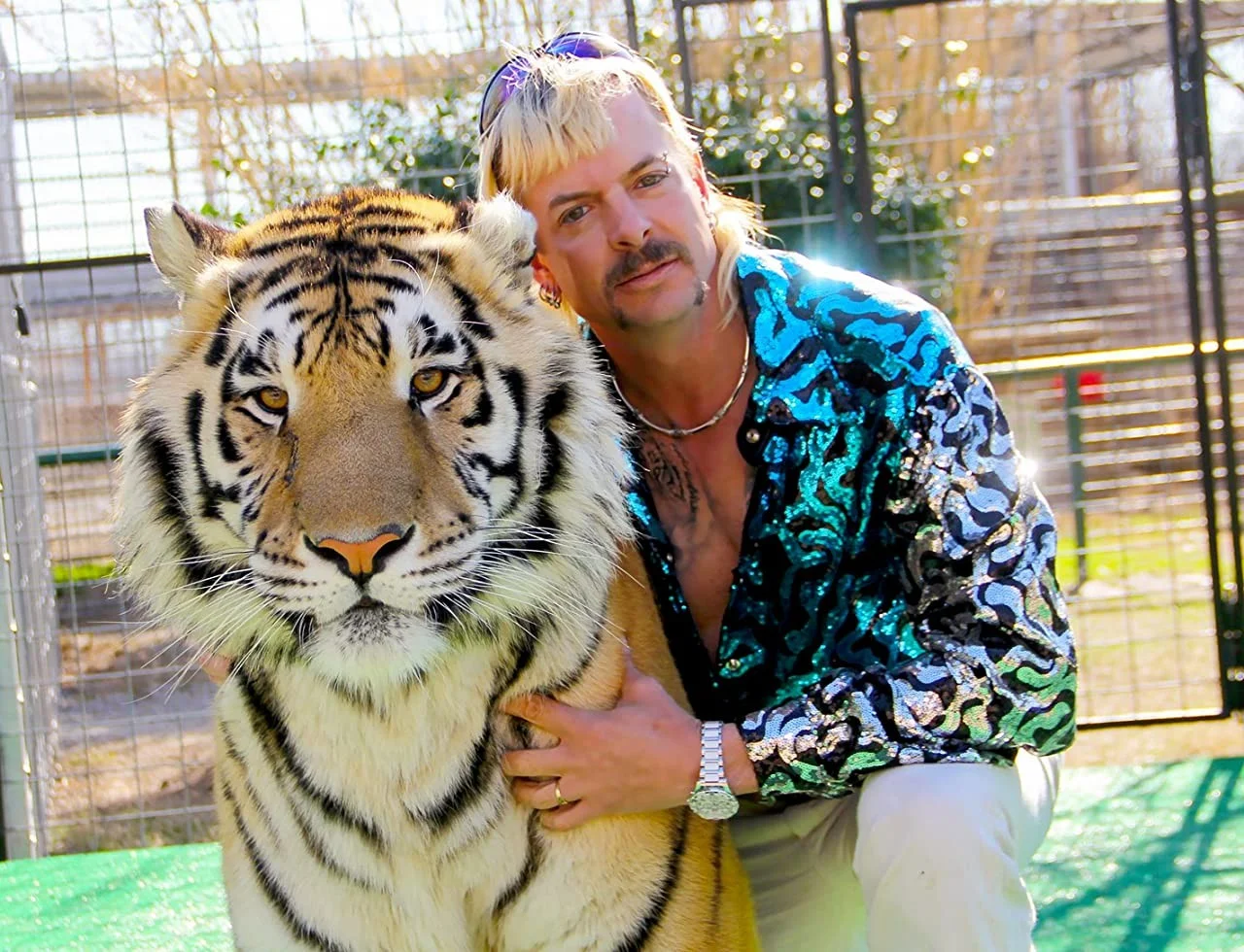 Обложка: кадр из документального сериала «Король тигров»