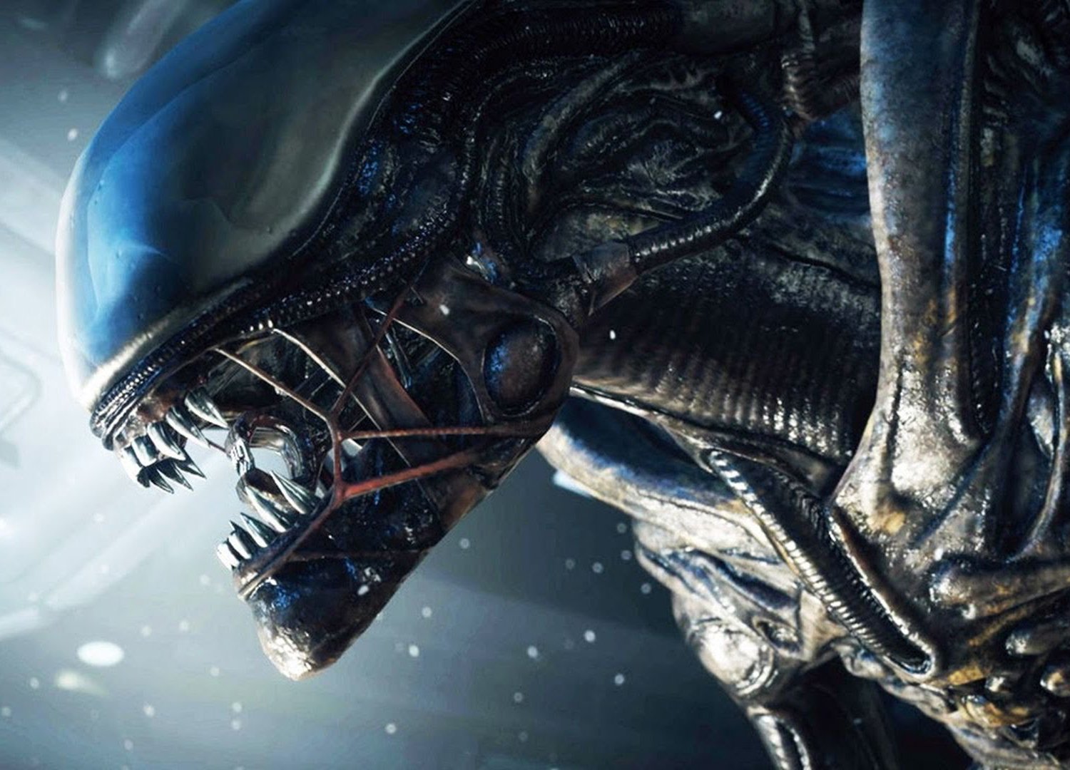 В Mortal Kombat X появятся Чужой и Кожаное лицо - изображение обложка