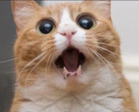 16 мониторов! Первый в мире компьютер для игры в 16К. Это безумие - изображение обложка