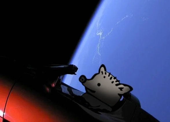 «Мэд Маск: Дорога релакса»: как Интернет отреагировал на Tesla в открытом космосе - изображение 1